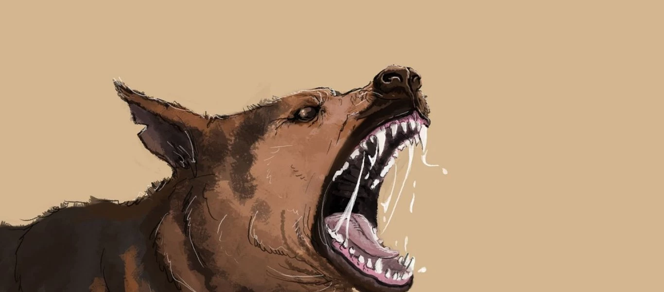 Έξωση στα σκυλιά του ζεύγους Μπάιντεν από το Λευκό Οίκο: Δάγκωναν κόσμο!